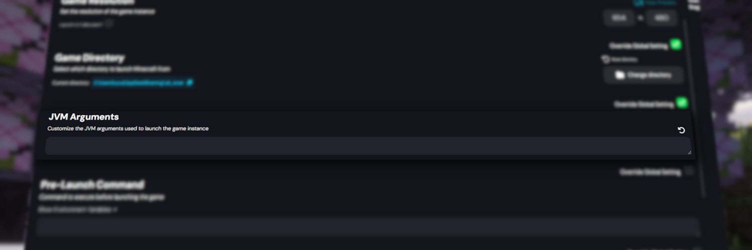 Custom JVM Arguments spot in the Lunar Client Launcher